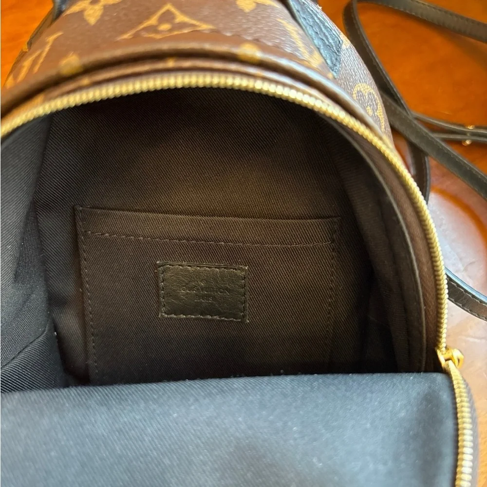 Authentic Louis Vuitton Palm Spings Mini - Picture 11 of 12